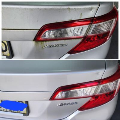 312934431-542684311194187-2819216304065040714-n