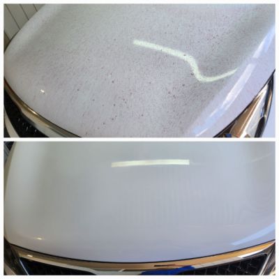 318201579-578297180966233-5841401207217412843-n