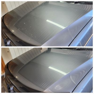 318629712-585210906941527-3650058283841559162-n